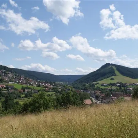 Panorama - Haus Sommerberg Apartment Baiersbronn
