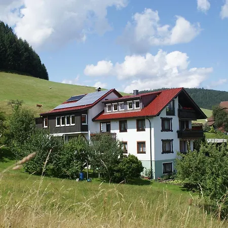 Panorama - Haus Sommerberg Apartment